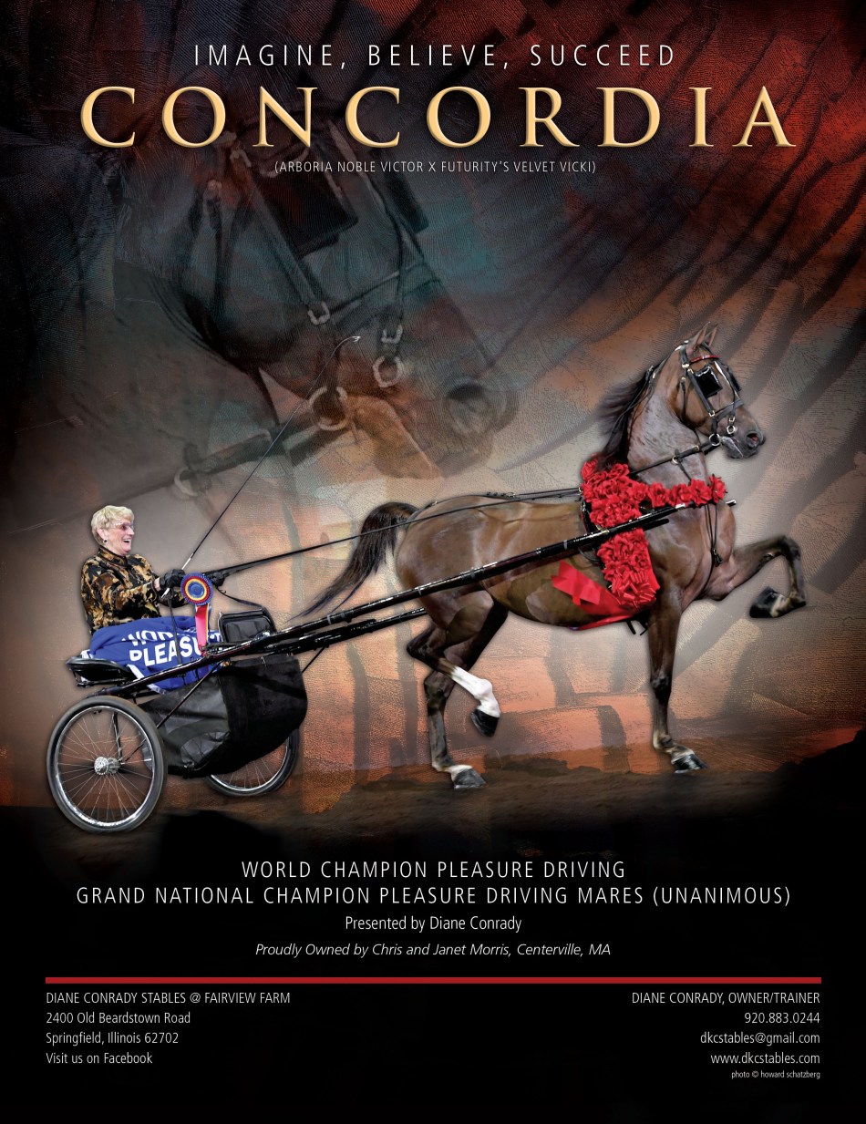 Concordia - Morgan Horse 2018